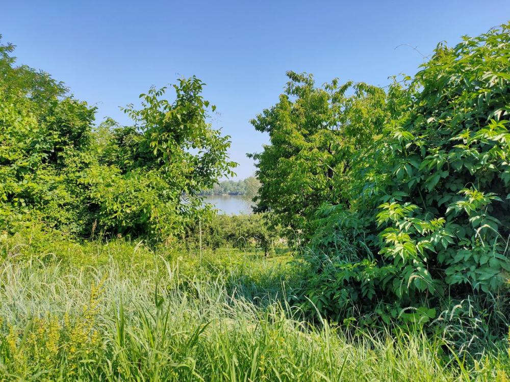 Slika 5 -  Plac na prodaju, Sremska kamenica - Popovica, , 160.000€