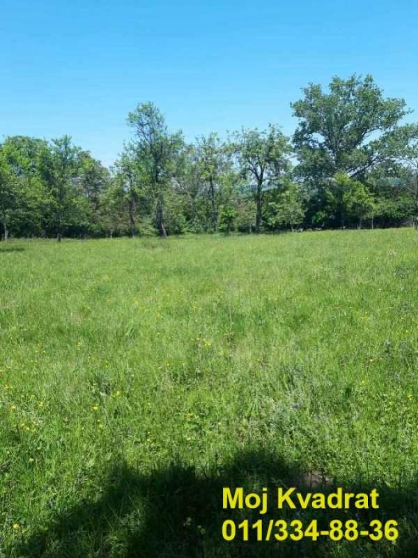 Glavna slika oglasa 352292