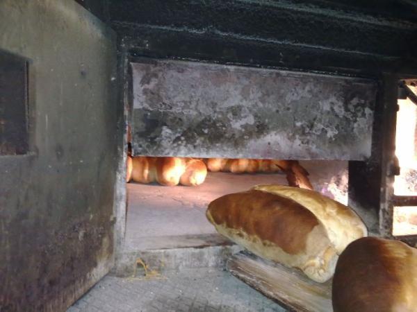 Glavna slika -Bulevar Despota Stefana,  Lokal za izdavanje, 75m2, 600€