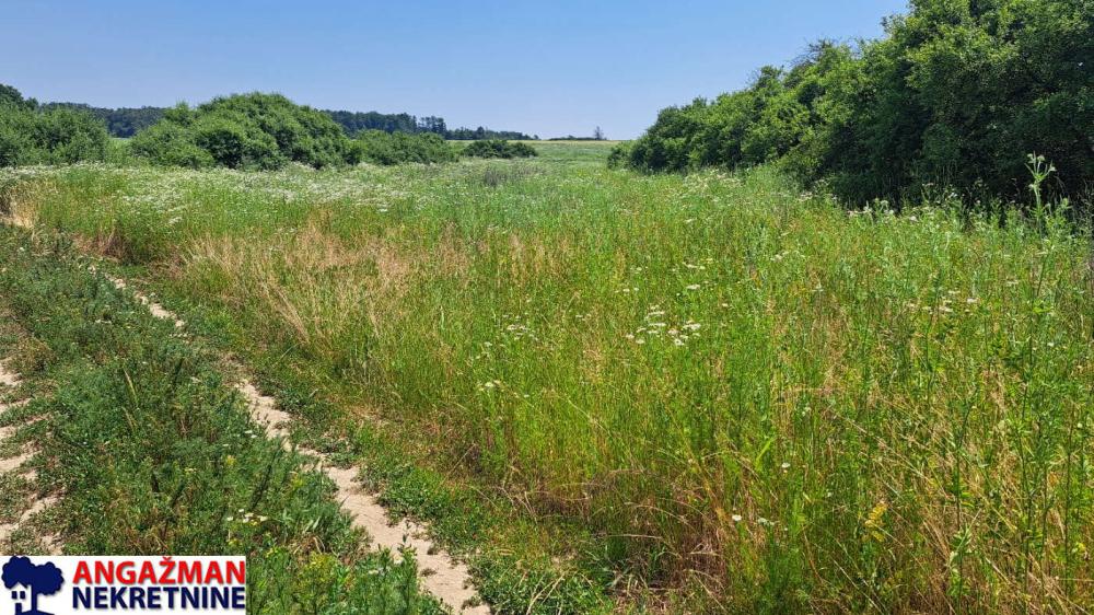 Slika 3 -  Plac na prodaju, Barajevo, Veliki Borak, 78.000€