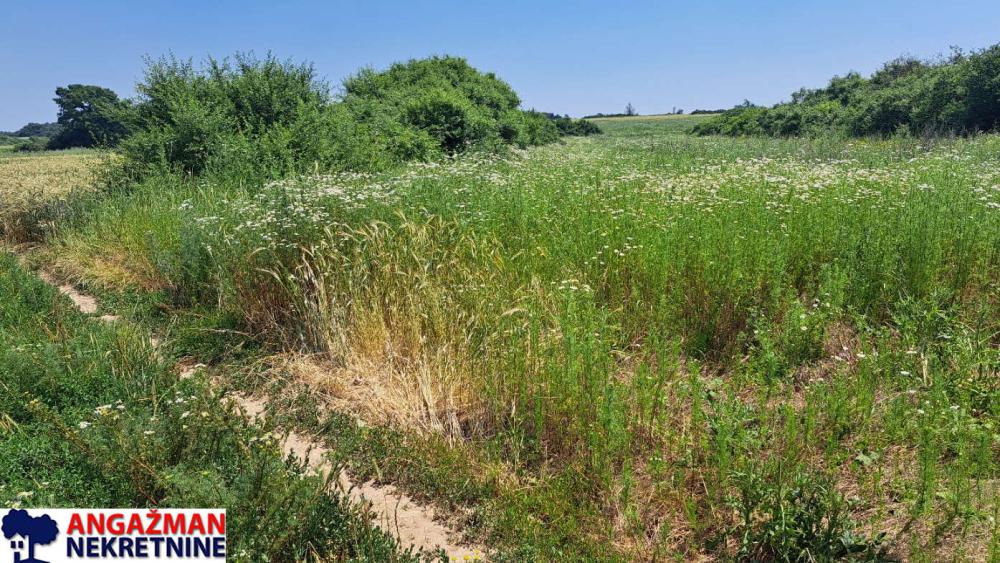 Slika 4 -  Plac na prodaju, Barajevo, Veliki Borak, 78.000€