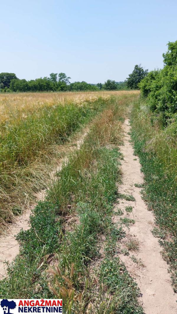 Slika 5 -  Plac na prodaju, Barajevo, Veliki Borak, 78.000€