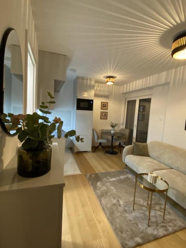 Glavna slika -Jednoiposoban stan za izdavanje, 30m2, 600€