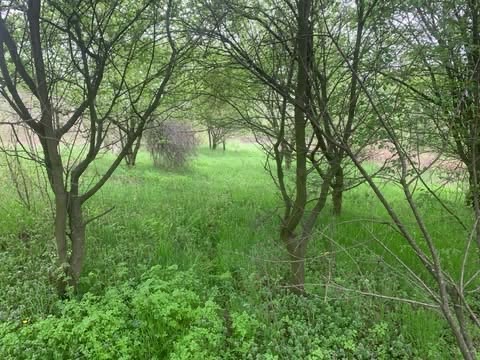 Slika 3 -  Plac na prodaju, 35.000€