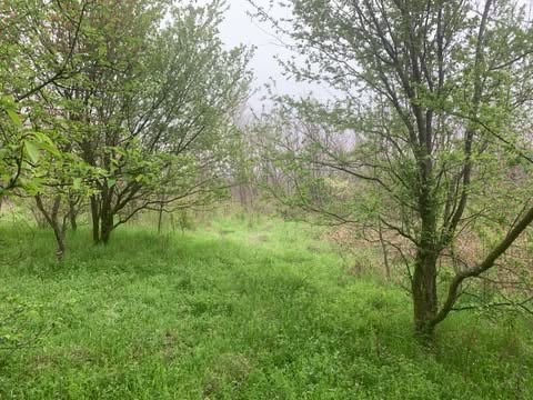 Slika 2 -  Plac na prodaju, 35.000€