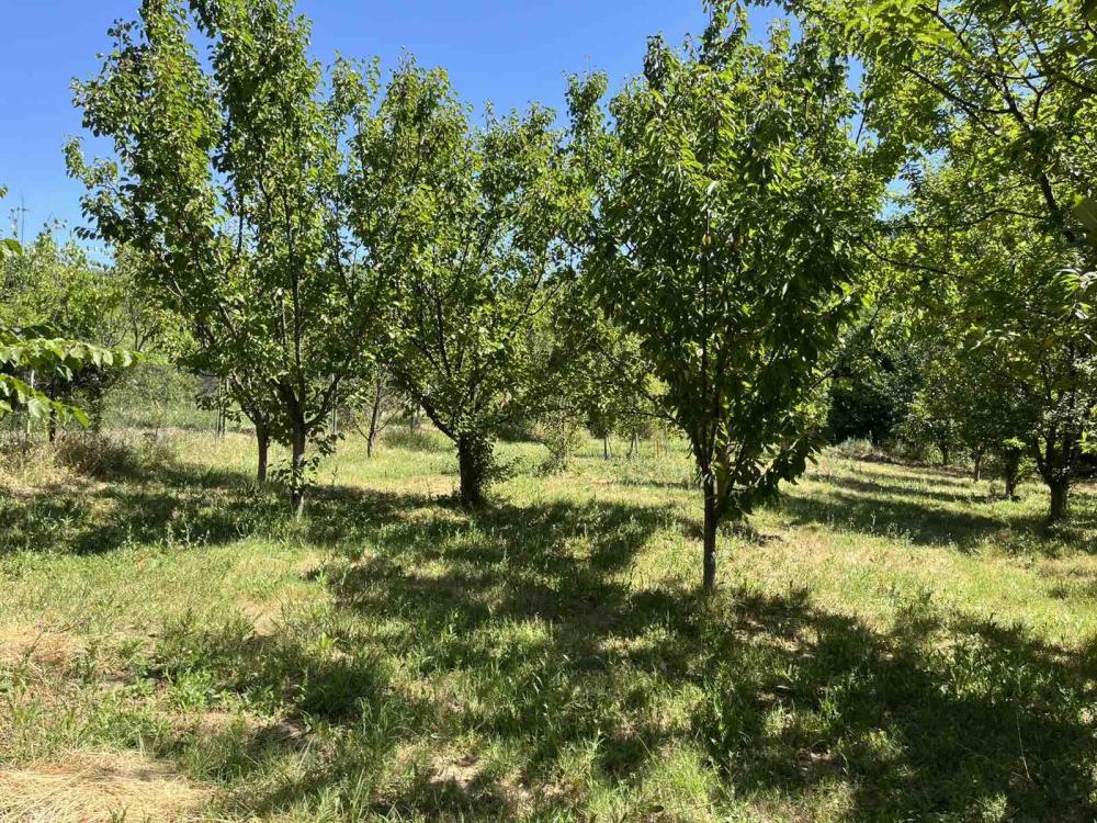 Slika 11 - Kuća na prodaju, 50m2, 127.310€