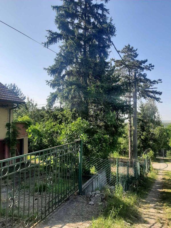 Slika 4 - Brestovik, Kuća na prodaju, 40m2, 22.000€