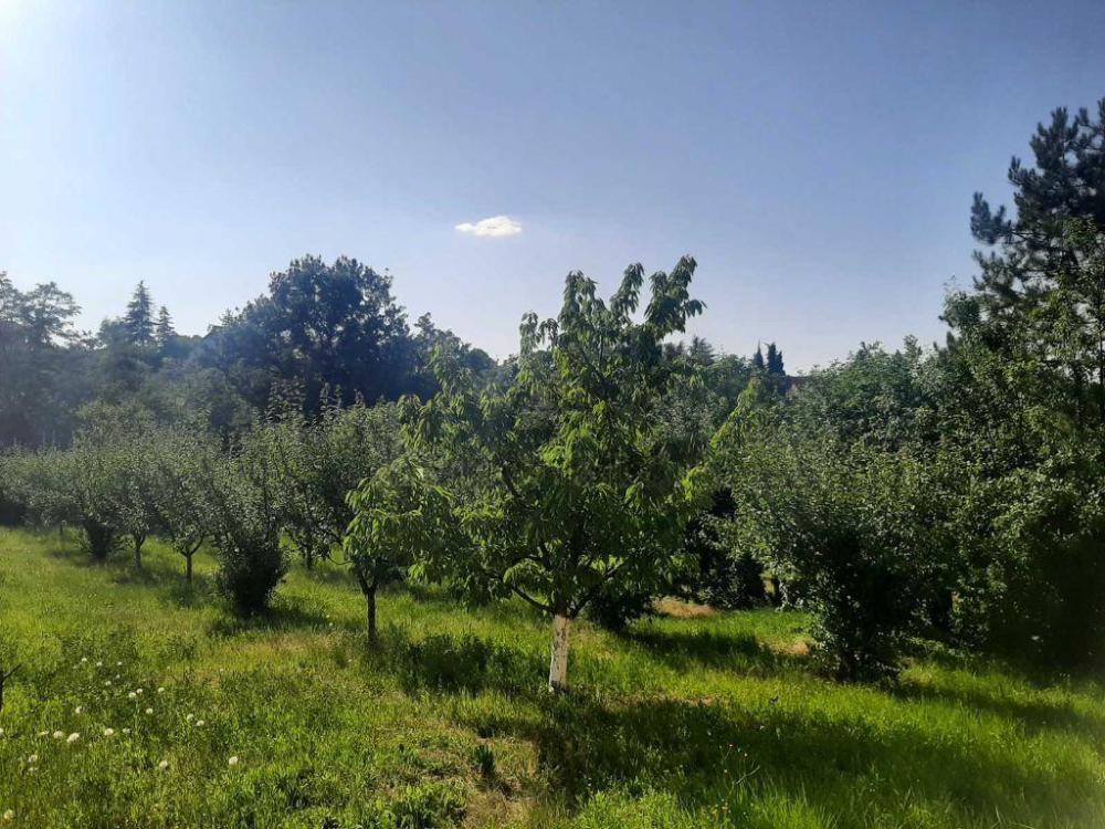 Slika 1 - Brestovik, Kuća na prodaju, 40m2, 22.000€