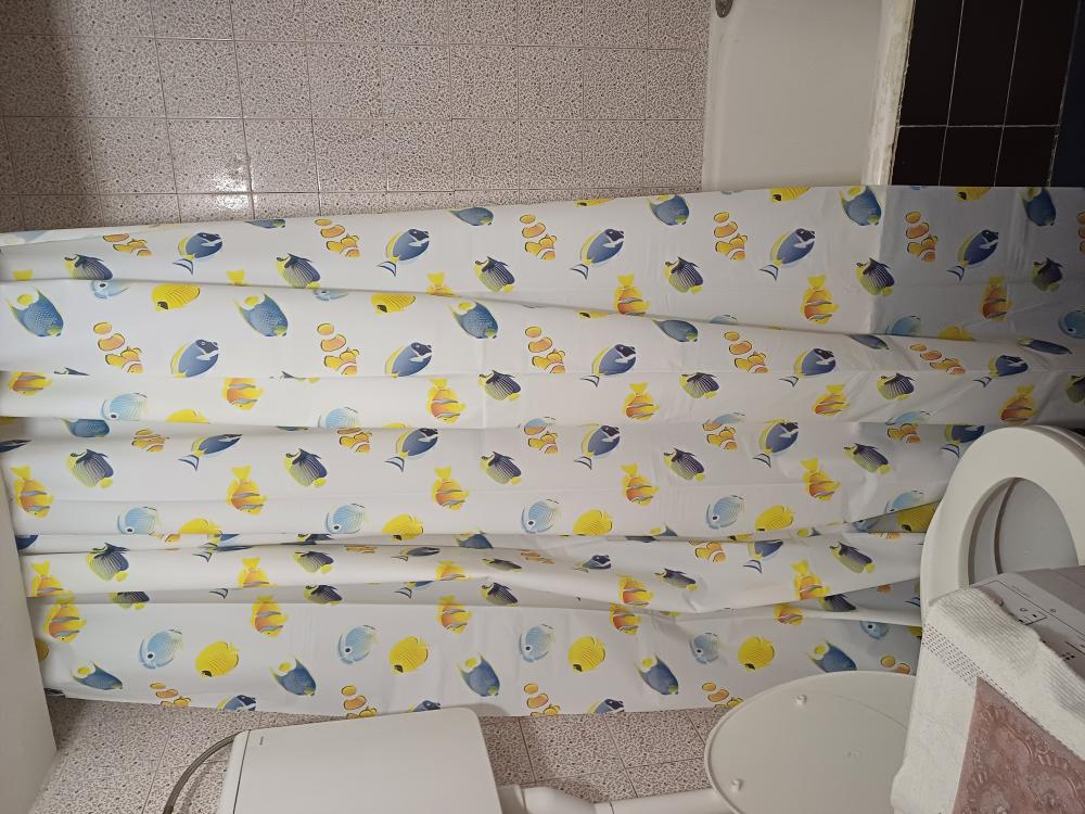 Slika 4 - Olge Jovičić , Jednosoban stan za izdavanje, 28m2, 250€