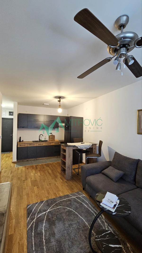 Slika 1 - Jednoiposoban stan za izdavanje, 40m2, 500€