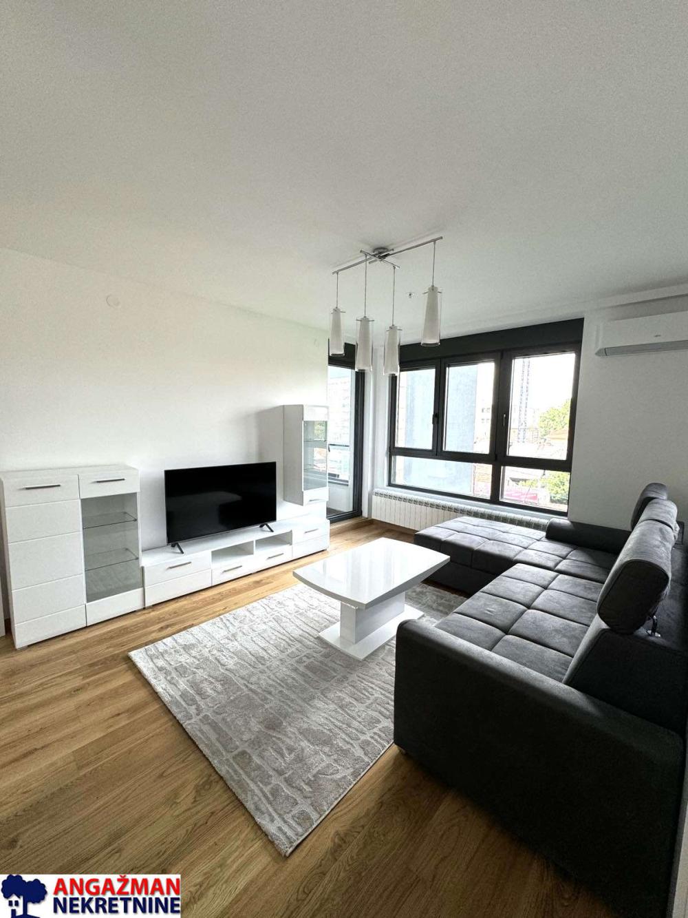 Slika 1 - Vojvode Stepe, Dvosoban stan za izdavanje, 55m2, 900€