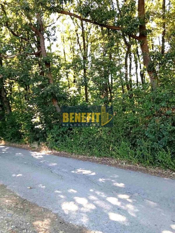 Glavna slika - Plac na prodaju, Voždovac, Ripanj, 38.000€