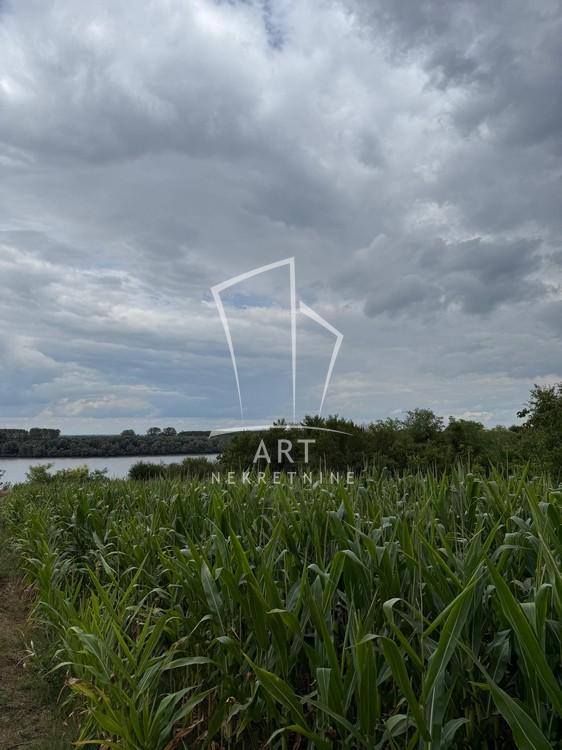 Slika 1 - Batajnički vinogradi Plac na prodaju, Zemun, Batajnica, 190.000€