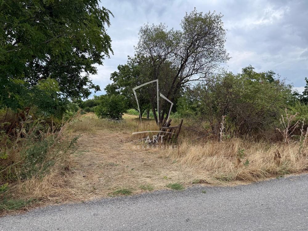 Glavna slika -Batajnički vinogradi Plac na prodaju, Zemun, Batajnica, 190.000€