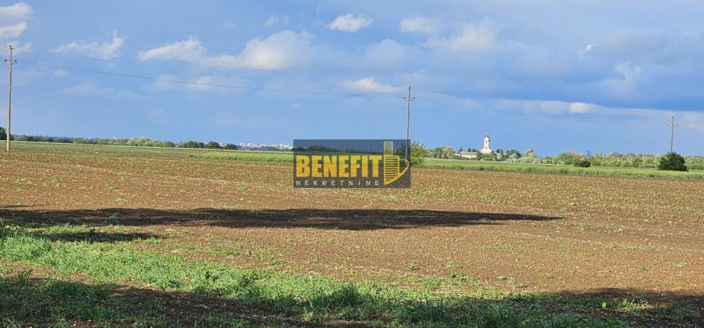 Slika 2 -  Plac na prodaju, Surčin, Boljevci, 250.000€