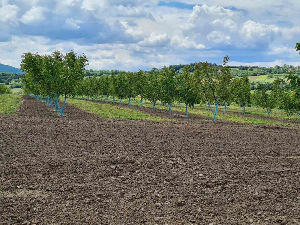 Slika 8 - Popovic,  Kuća na prodaju, 170m2, 650.000€