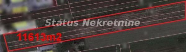 Glavna slika - Plac na prodaju, Begeč, , 598.100€