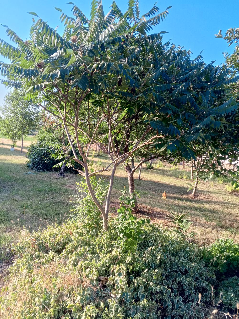 Slika 3 -  Kuća na prodaju, 72m2, 28.000€