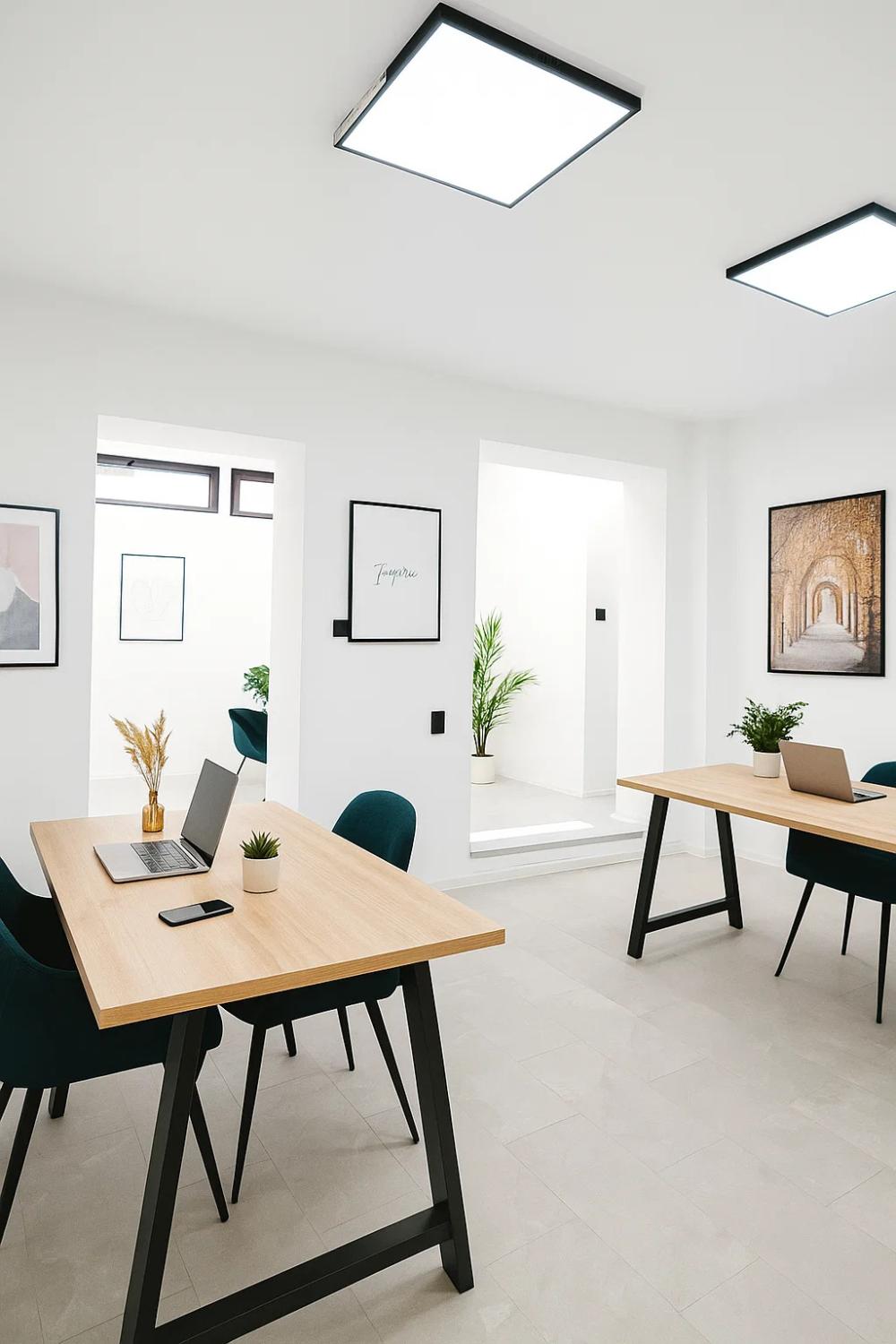 Slika 2 - Koste Stamenkovica,  Lokal za izdavanje, 43m2, 500€