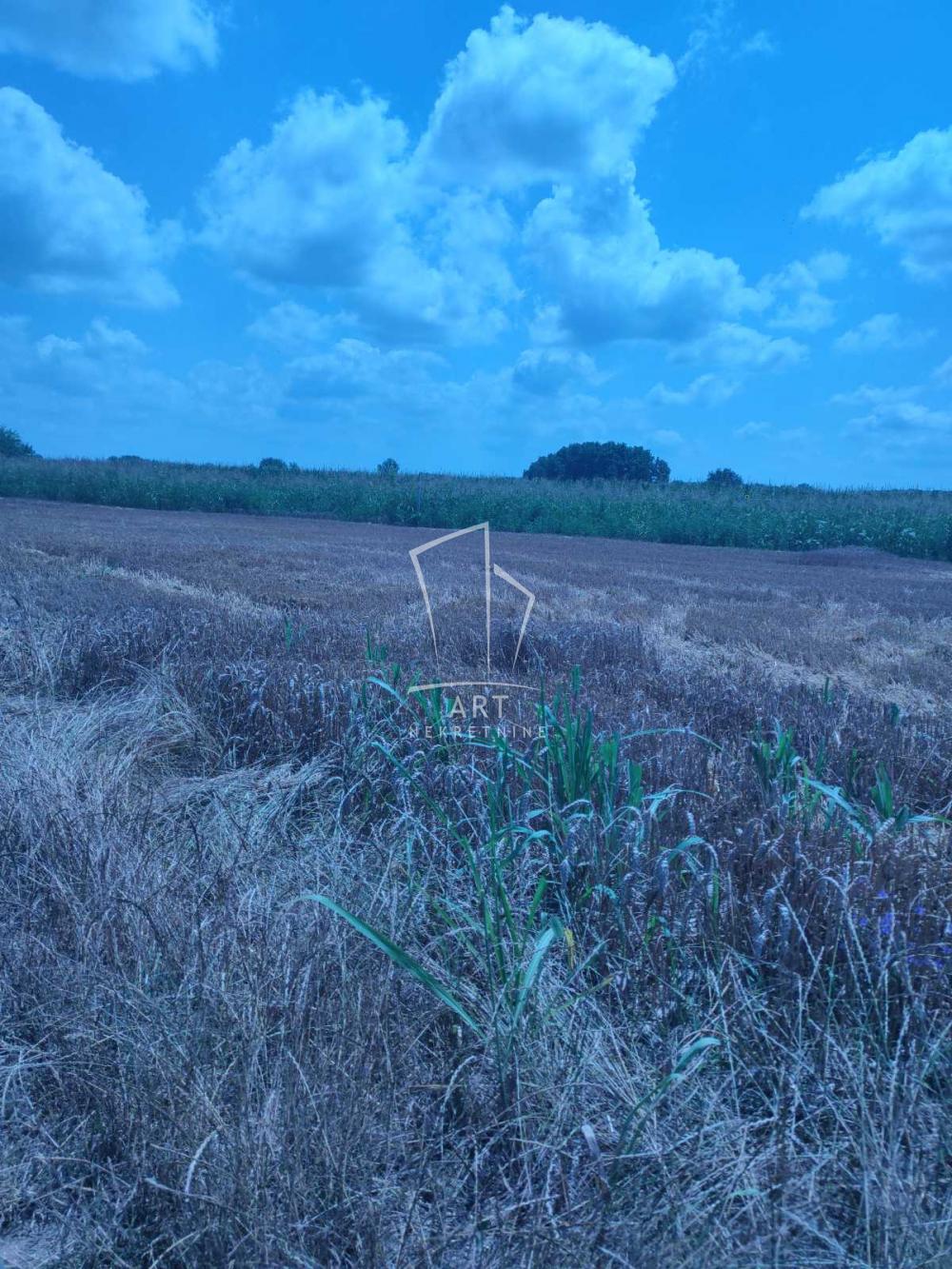 Slika 2 -  Plac na prodaju, Zemun, Zemun Polje, 440.000€