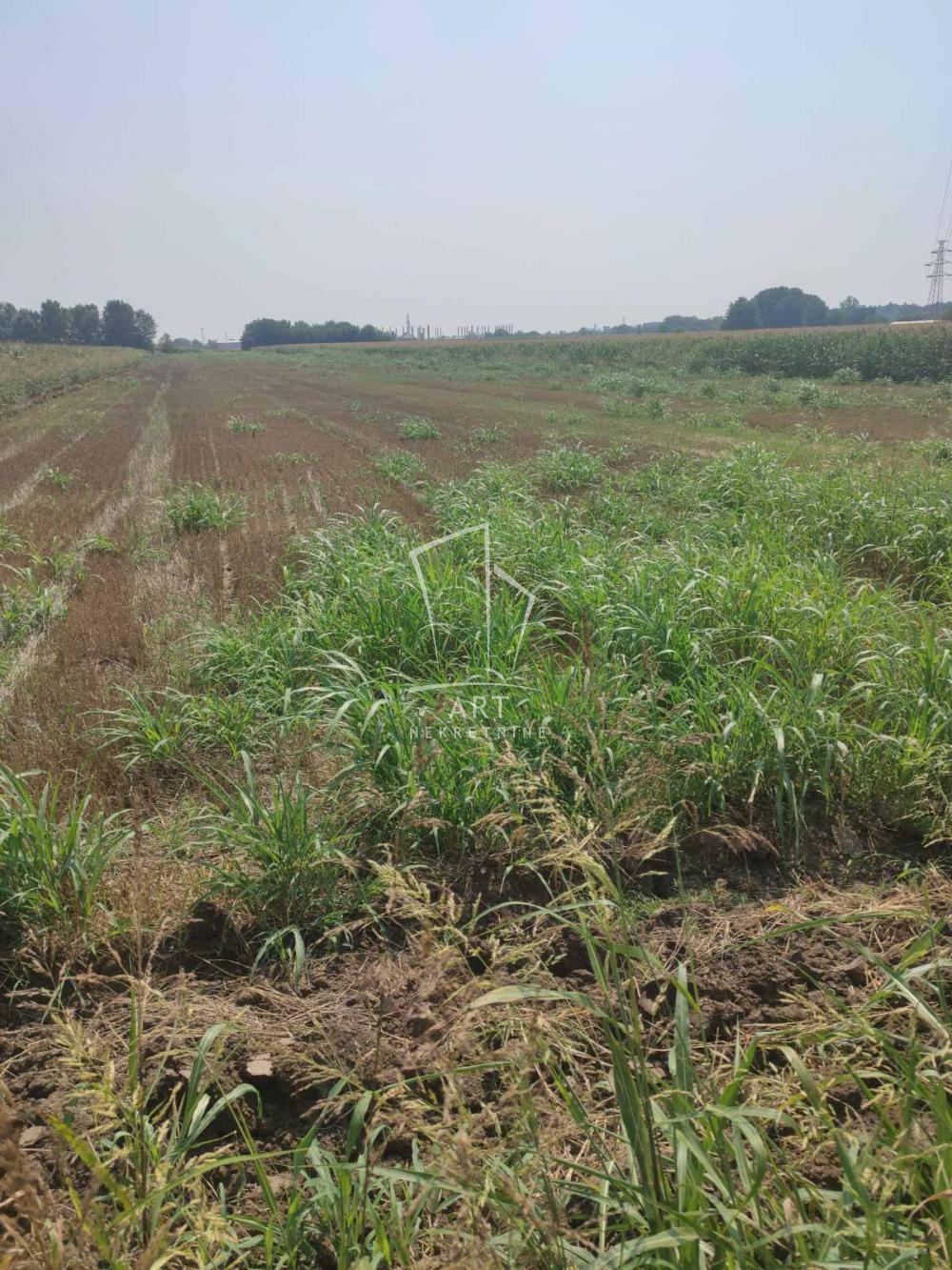 Glavna slika - Plac na prodaju, Zemun, Zemun Polje, 440.000€