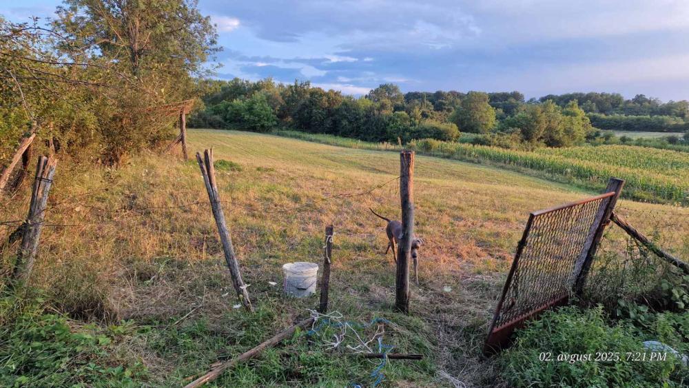 Slika 2 - Ducina Plac na prodaju, Sopot, 800€