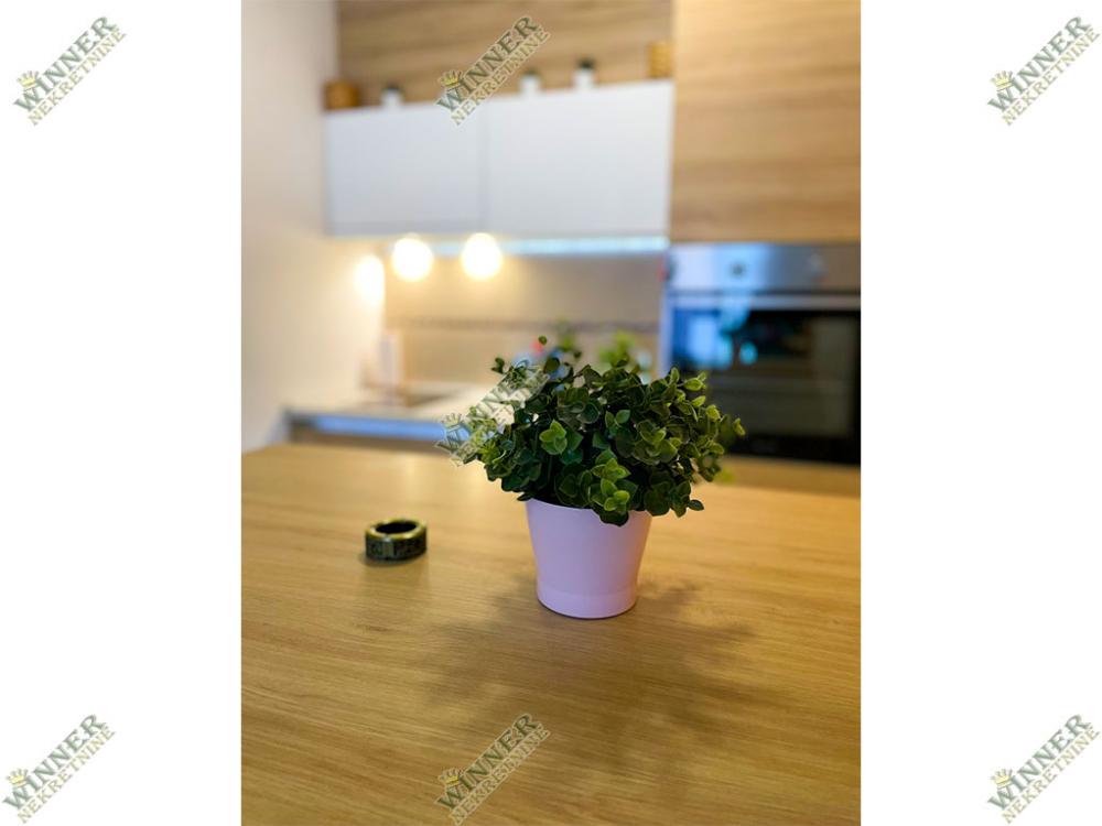 Slika 5 - Slavonska, Jednoiposoban stan za izdavanje, 32m2, 600€