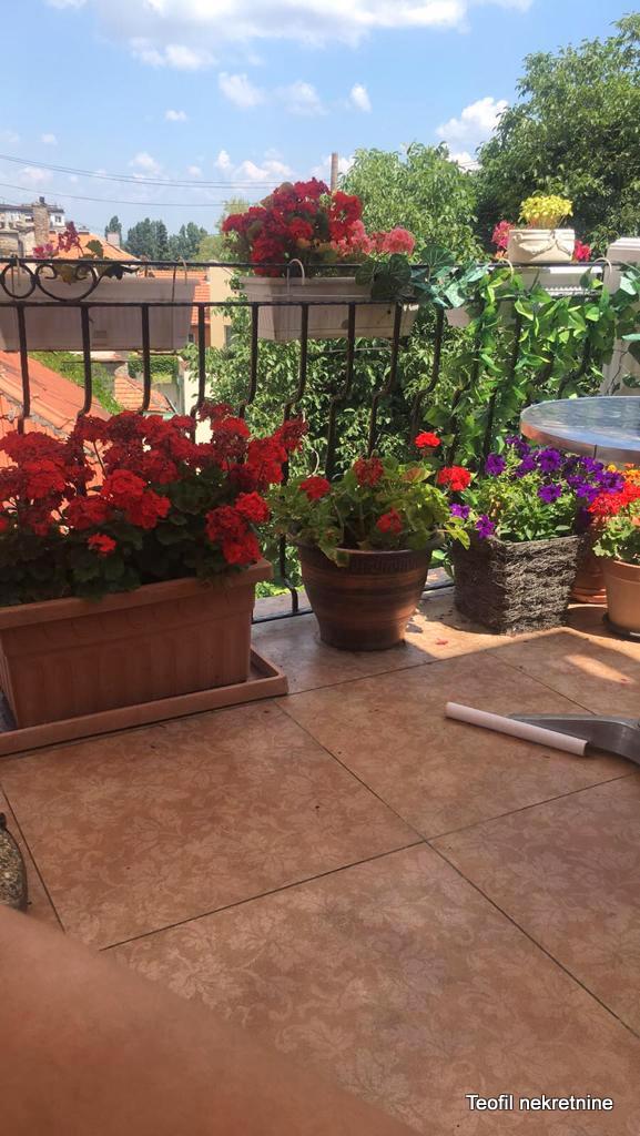 Slika 7 - Smederevska, Dvosoban stan za izdavanje, 55m2, 1.000€