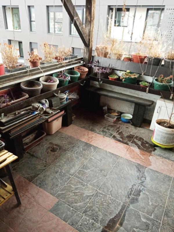 Slika 6 - Cara Dušana,  Lokal za izdavanje, 45m2, 350€