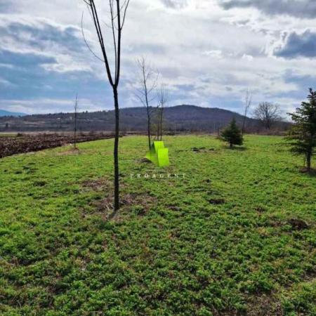 Glavna slika - Plac na prodaju, Palilula - NIŠ, Palilula, 42.000€