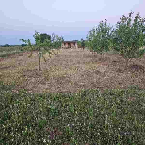 Glavna slika - Kuća na prodaju, 50m2, 40.000€