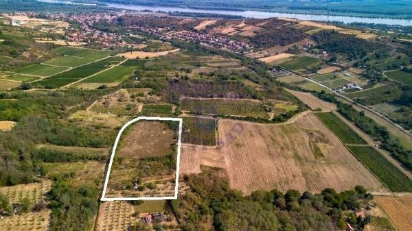 Slika 4 -  Plac na prodaju, Sremski Karlovci, 135.940€