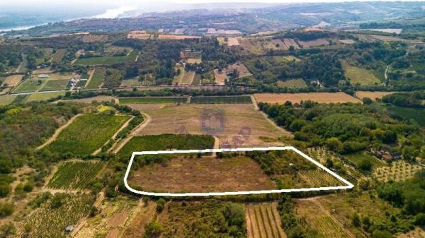 Slika 1 -  Plac na prodaju, Sremski Karlovci, 135.940€