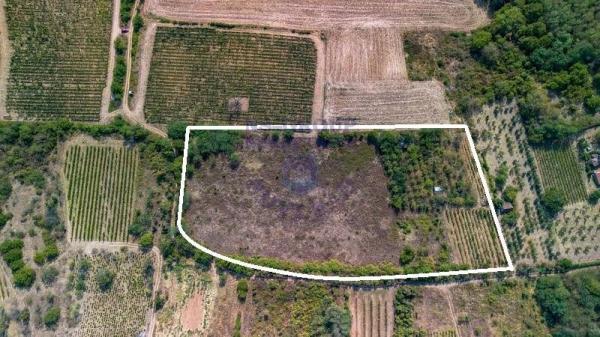 Glavna slika - Plac na prodaju, Sremski Karlovci, 135.940€