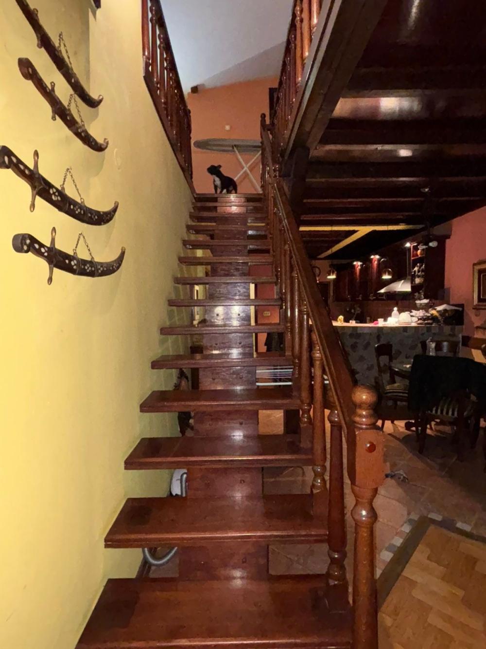 Glavna slika -Kneza Bogosava 13, Kuća za izdavanje, 143m2, 1.000€