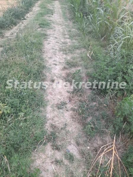 Slika 5 -  Plac na prodaju, Futog, , 27.000€