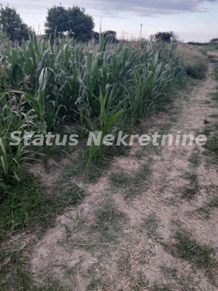 Slika 2 -  Plac na prodaju, Futog, , 27.000€