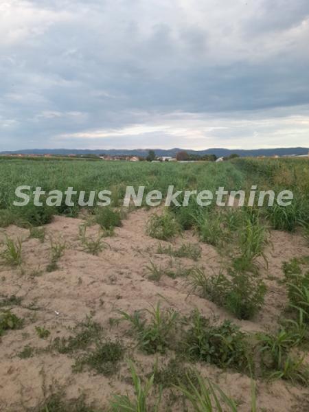 Slika 6 -  Plac na prodaju, Futog, , 27.000€