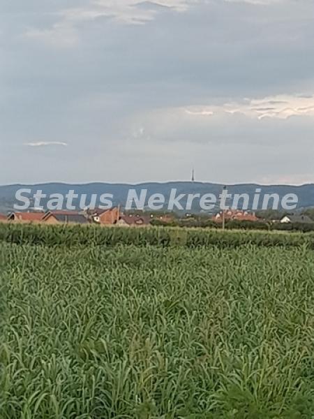 Slika 7 -  Plac na prodaju, Futog, , 27.000€