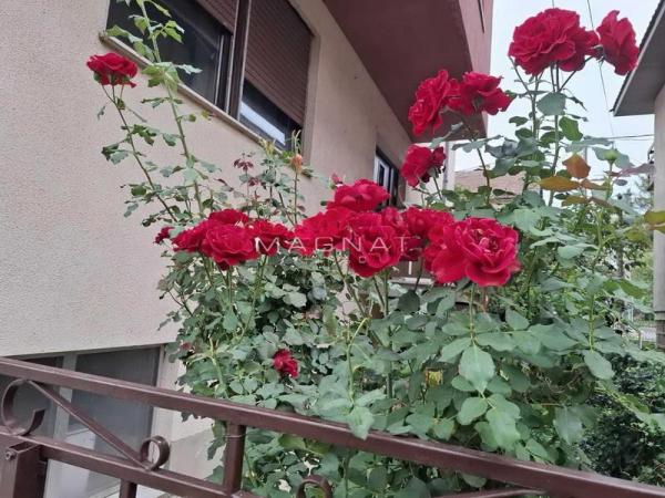 Slika 7 - Koste Bogdanovića,  Kuća na prodaju, 336m2, 280.000€