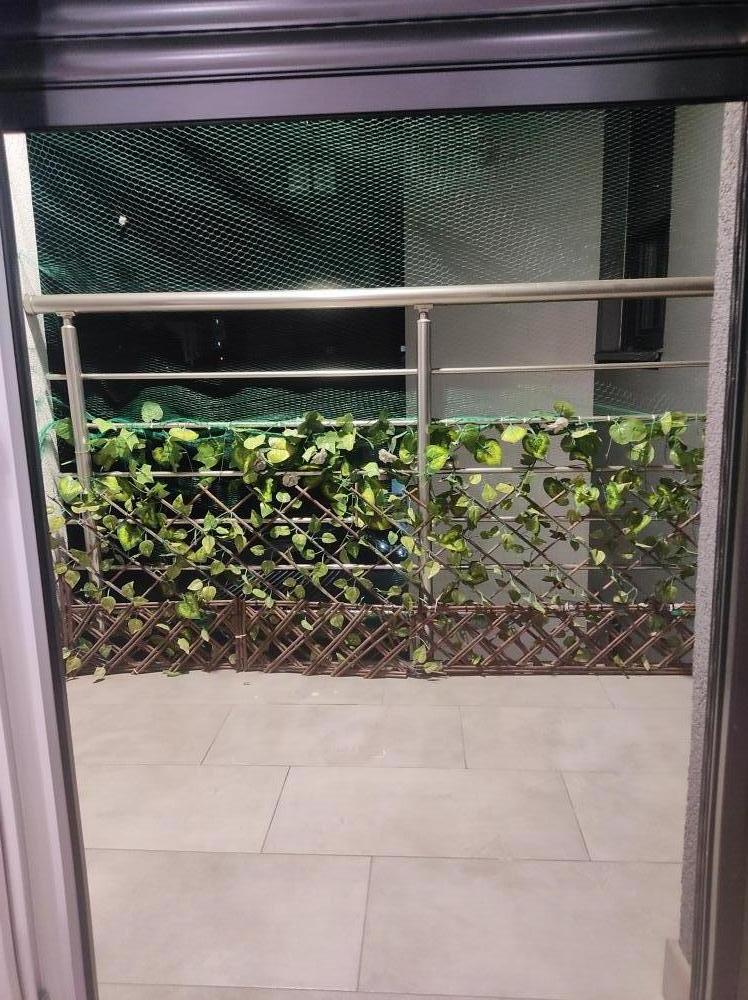 Slika 0 - Karadjordjeva, Jednoiposoban stan za izdavanje, 40m2, 500€