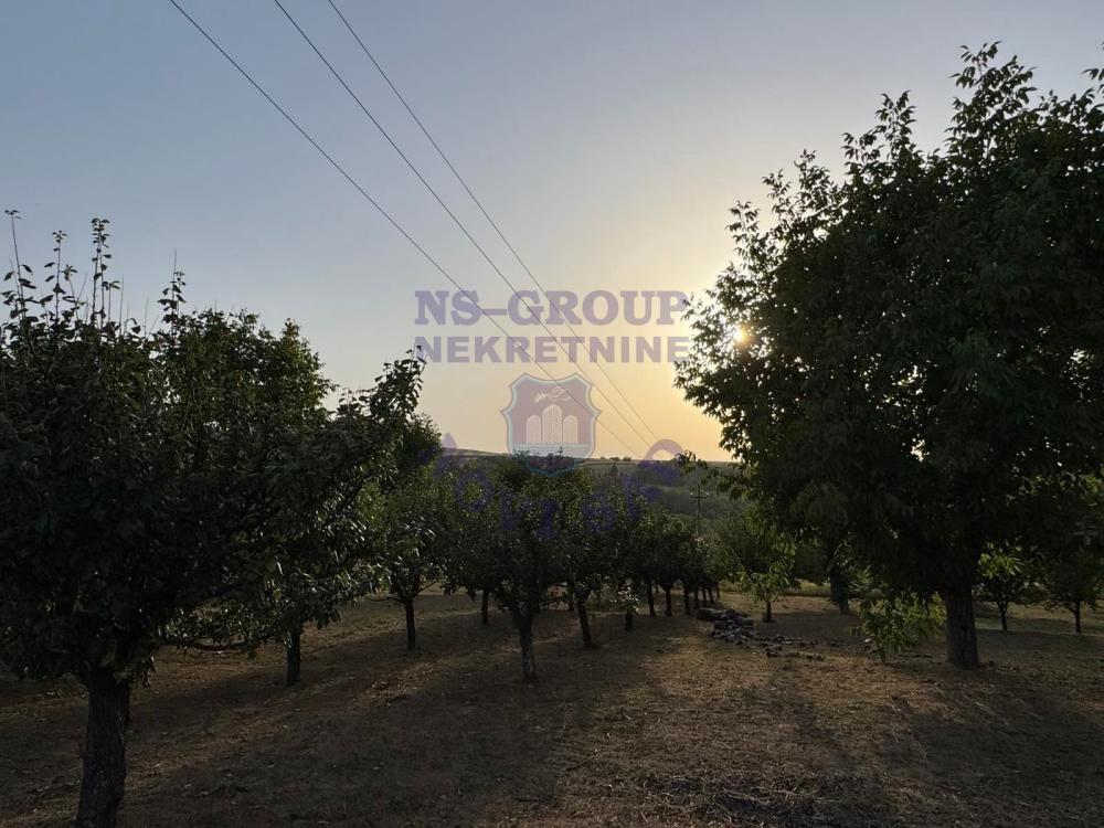 Glavna slika oglasa 367018