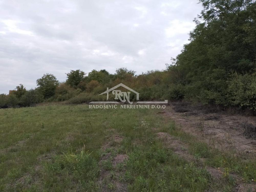 Slika 2 - Bore Todorovića Plac na prodaju, Obrenovac, Barič, 34.000€