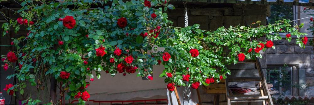 Glavna slika oglasa 368065