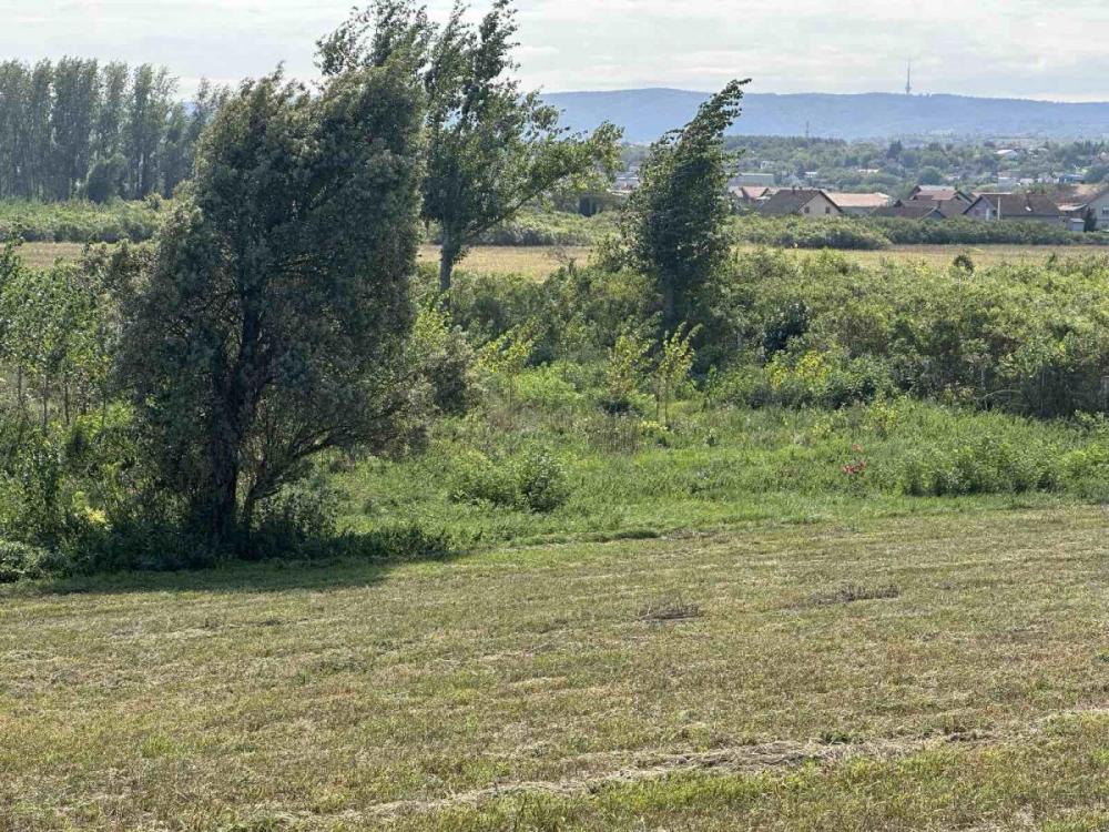 Glavna slika - Plac na prodaju, Petrovaradin, Sadovi, 2.250.000€