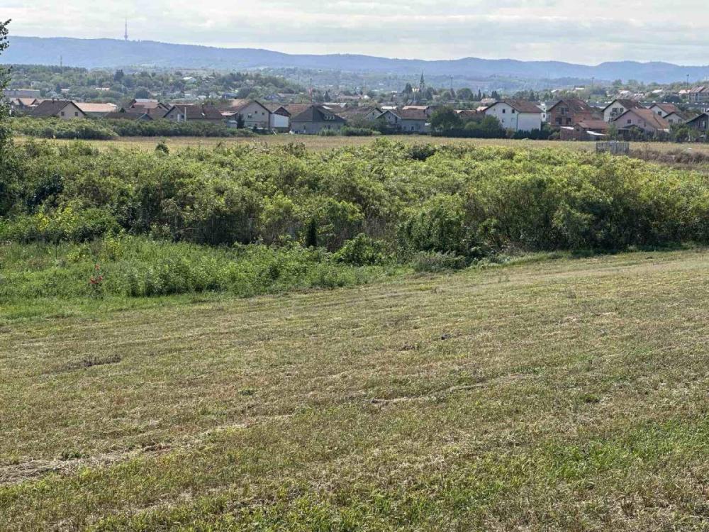 Slika 5 -  Plac na prodaju, Petrovaradin, Sadovi, 2.250.000€