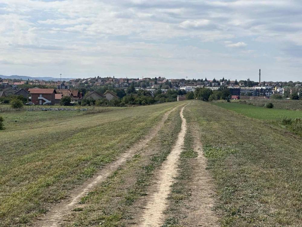 Slika 4 -  Plac na prodaju, Petrovaradin, Sadovi, 2.250.000€