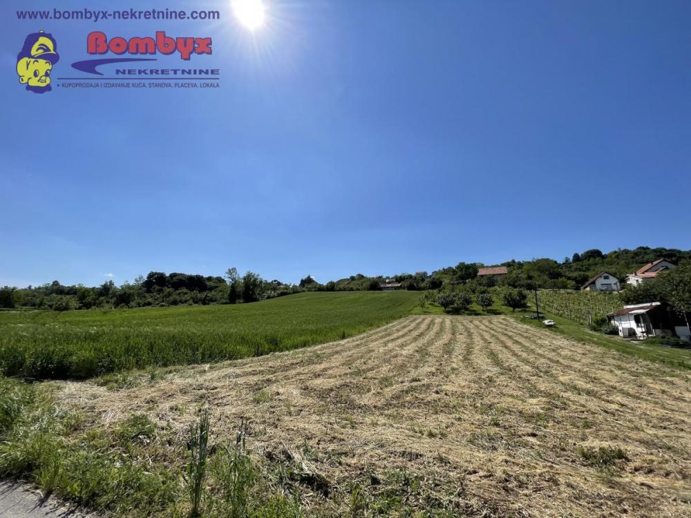 Glavna slika - Plac na prodaju, Sremska Kamenica, , 98.000€