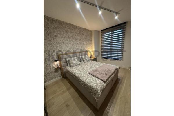 Glavna slika -Bulevar Vudroa Vilsona, Dvosoban stan za izdavanje, 52m2, 1.300€