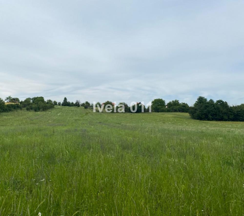 Glavna slika - Plac na prodaju, Mladenovac, Koraćica, 79.500€